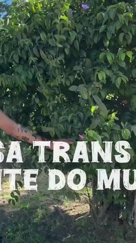 Here the News Is Frequent, Come Play in the Hottest Trans House in the World, News Every Week, Lots of Sex.