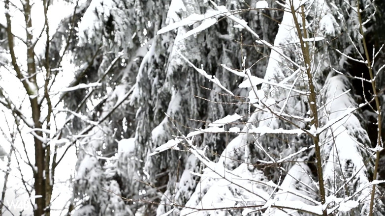 Watch4beauty: Storia di inverno