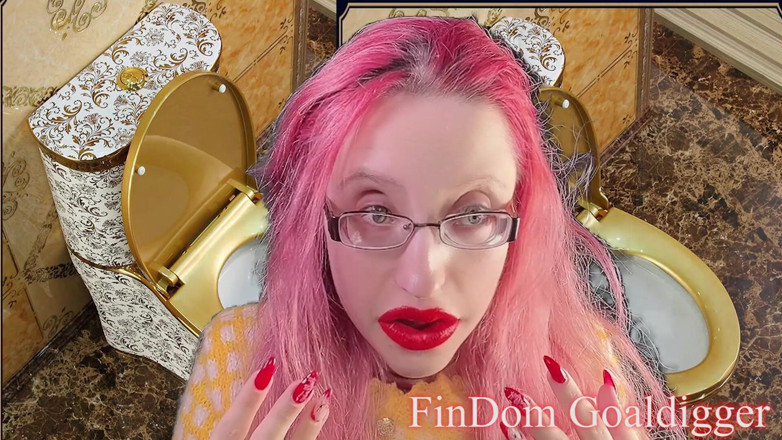 FinDom Goaldigger: トイレ掃除員サーヴァント変身!