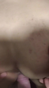 3069633