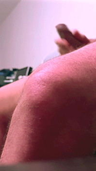 Můj malý mazlíček, úvod