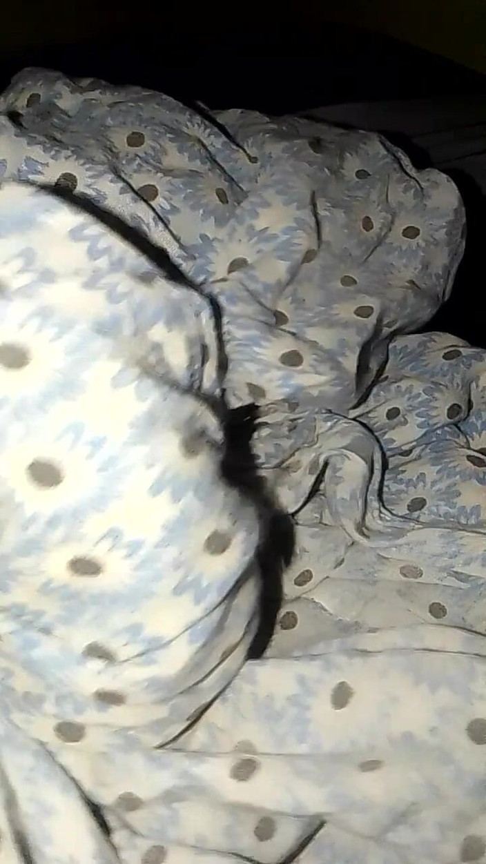 Jaanu294: Můj nevlastní bratr, moje nevlastní sestra, stará se, stejně jako...