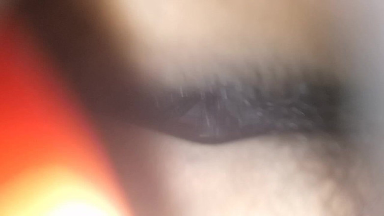 PARAMANANDA: Meine schöne ehefrau