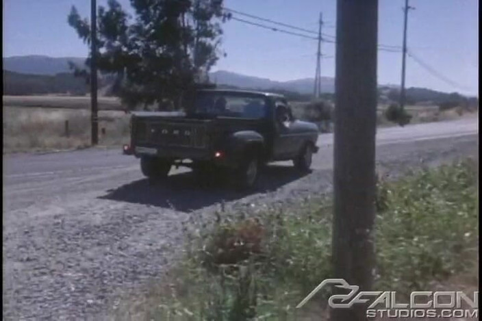 Falcon Studios: Dirt Bikes