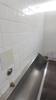I Almost Got Caught Peeing in the Public Bathroom