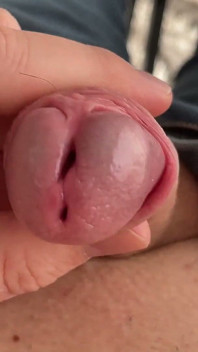 Ma Bite Du Matin