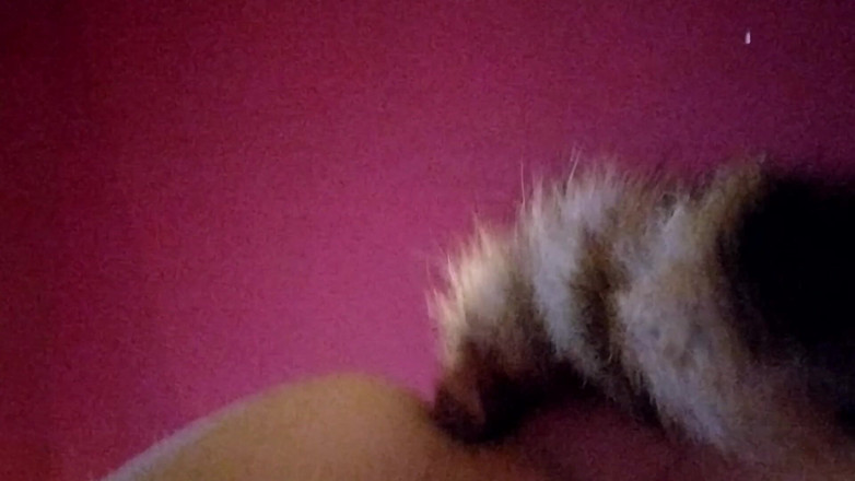 Joslin: Joslin agitazione anale coda plug