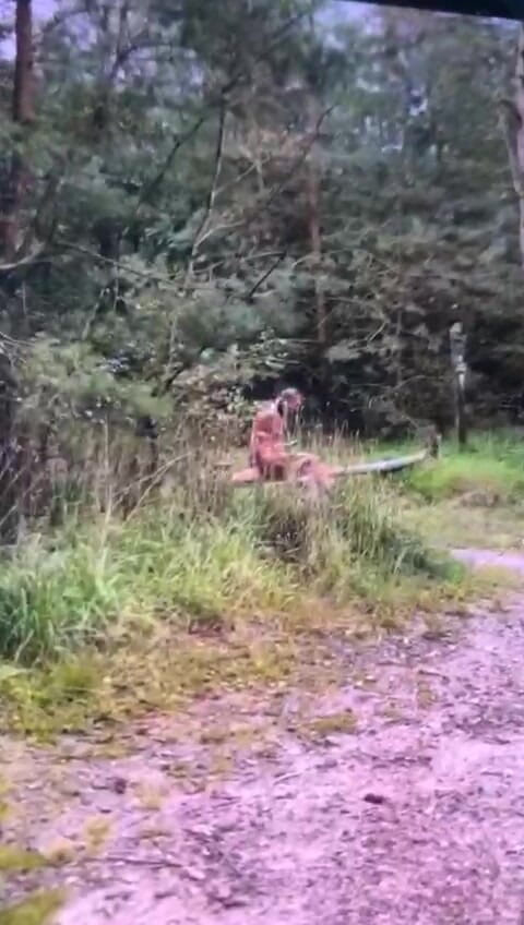 Benb Studio: Za trest přivázaný ke stromu