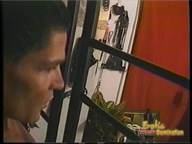 Erotic Female Domination: Rondborstige dominatrix slaat haar slaaf