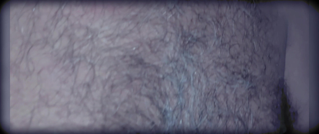 Rock F hairy: Schön, mich aus nächster Nähe zu sehen
