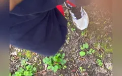 Cruising at Woods and of Course Found a Nice Dick to Cum