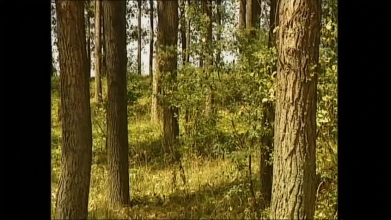 MMV TV - our best full movie: Insatiable Whore Begging for Rough Doggy Style (full Porn Movie)