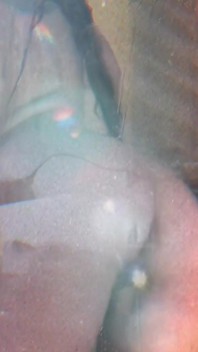 Watch Your Inbox for the Whole Vid;) My Girlfriend Films Me Showering in Portugal