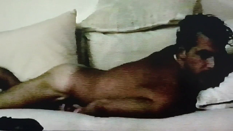 Cory Bernstein: Vintage 2000 Homeade Sextape mężczyzny gwiazdy Cory Bernstein Uprawianie seksu przez...