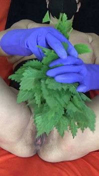 Slapping a Hairy Pussy with Nettles