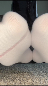 White Adidas Socks Ignore POV