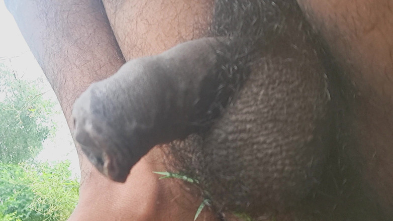 Desi_Porn_India: Mi video de compilación de masturbación caliente en los campos