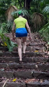 Walking up Old Stairs in the Hawaiian Rainforest
