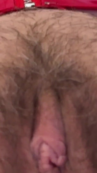 The Cougar Crawl Across the Bed -- and My Hairy Pussy