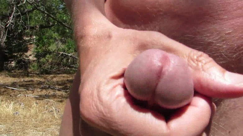 Littleschorschi: Melancap bogel dalam hutan dan ladang 2