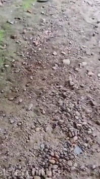 Я трахав пасинка-близнюка з великим членом прямо на узбіччі дороги в покинутій лікарні