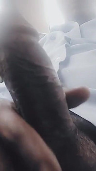 Tvrdý penis