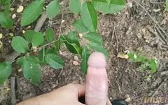 Hard Handjob in the Forest. Throbbing and Lots of Cum
