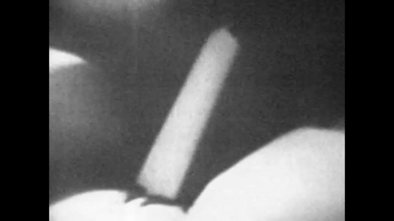 The Unforgettable: Asquerosa Lujuria De Lesvicas