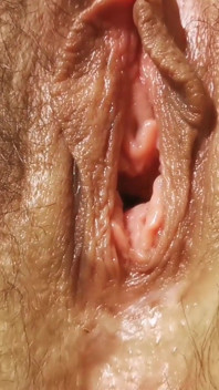 Grool! Hairy Pussy!
