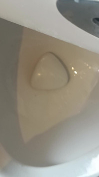 Pipì Al College - Pubblico - Piscio Pubblico - Pipì Cazzo Nero. Spettacolo Di Piscio Del College