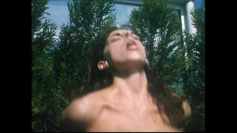 Hard Accademy: Filme de porco caprichoso vulgar