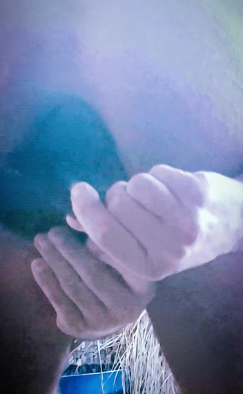 MaleModel: Dop de fund larg de 11 cm