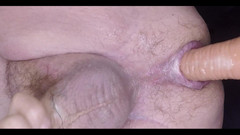 Curious Jay: पहली बार