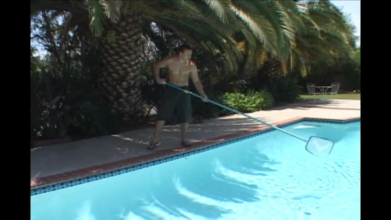 Hard Accademy: Cheyenne the Pig