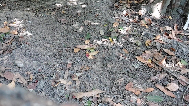 Kitty_Cross: Pancutan mani disedari akhirnya dari zakar comel ladyboy cantik