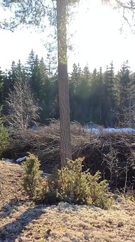 A fost bucurându-se de soare tot weekendul, și sa se bucure cel mai bun mod posibil!