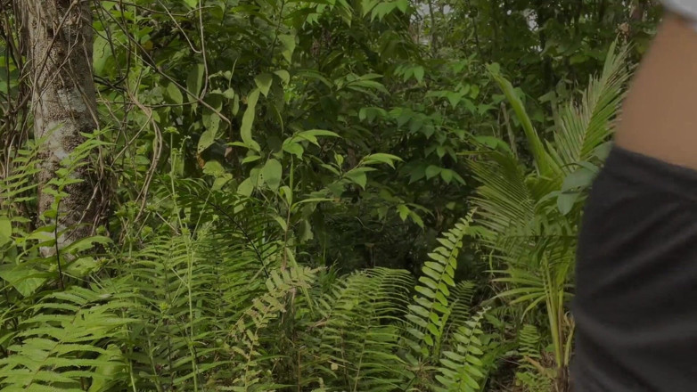 StaccyPh: 흑인 대물 자지에게 따먹히는 거유 밀프