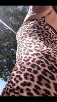 I Was a Cheetah Girl Today. I Had a Good Route in the Burbs and Was Cool with My Cheeta Print