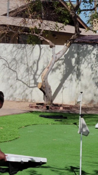 Strip cornhole in Vegas Heat endet mit öligen titten, Dreads way bbc