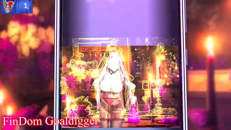 FinDom Goaldigger: The world of a sissy