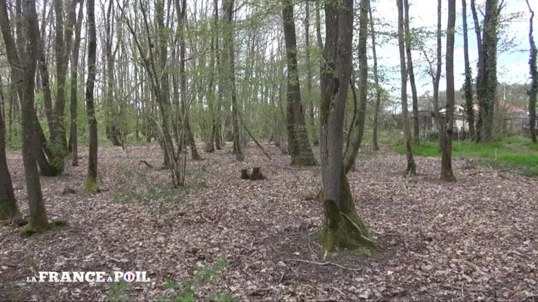 Girls Bang: Mature Bourgeoise Hard Anal Fucked Outdoor by the Garderner