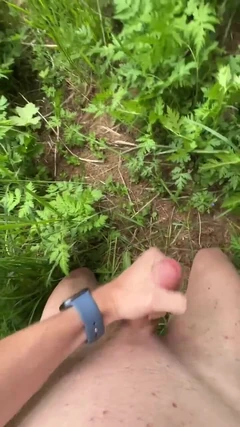 In the Forest.