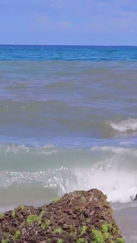 Beach Fun