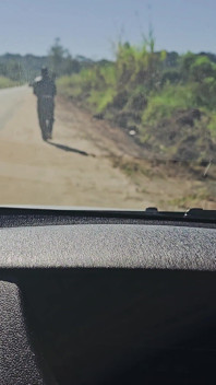 Student Got a Ride with the Professor... for the Final Grade