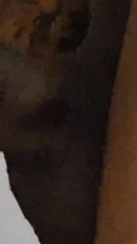 Soft Lips Sucks Cock Super Sloppy