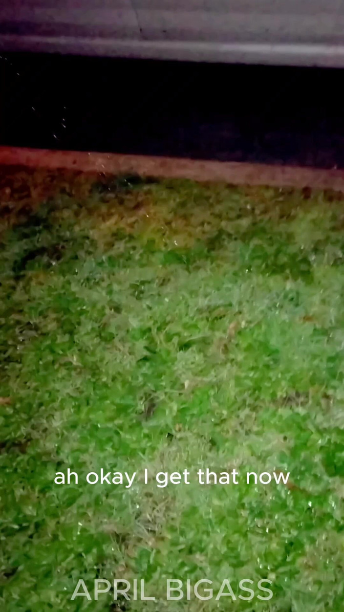 April BigAss: アルゼンチン、マルデルプラタの路上で放尿する3p、2人の売春婦が一緒に!!汚い売春婦