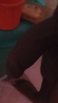 Tamil10inches BBC Morning Wood Session