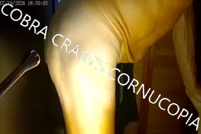 COBRA CRAIG: 2026年7月19日 Take It Fuckin Easy Cobra