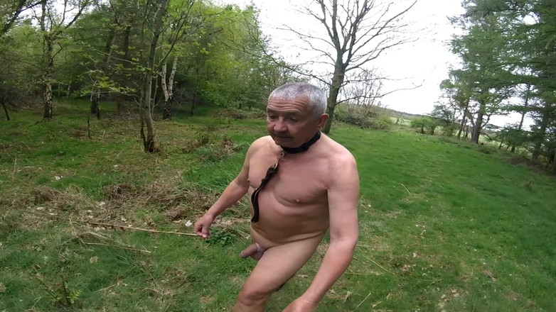 Andy: Yürüyüş 20 2025