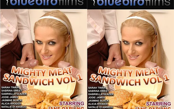 Estelle and Friends: Mighty Meat Sandwich Vol 1